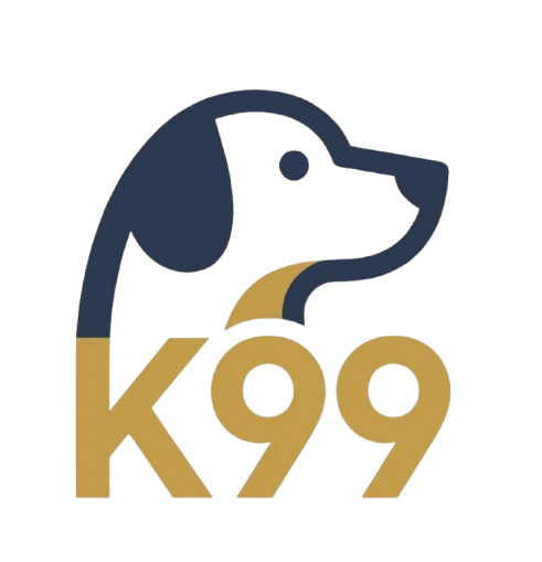 K99 Industrial Logo